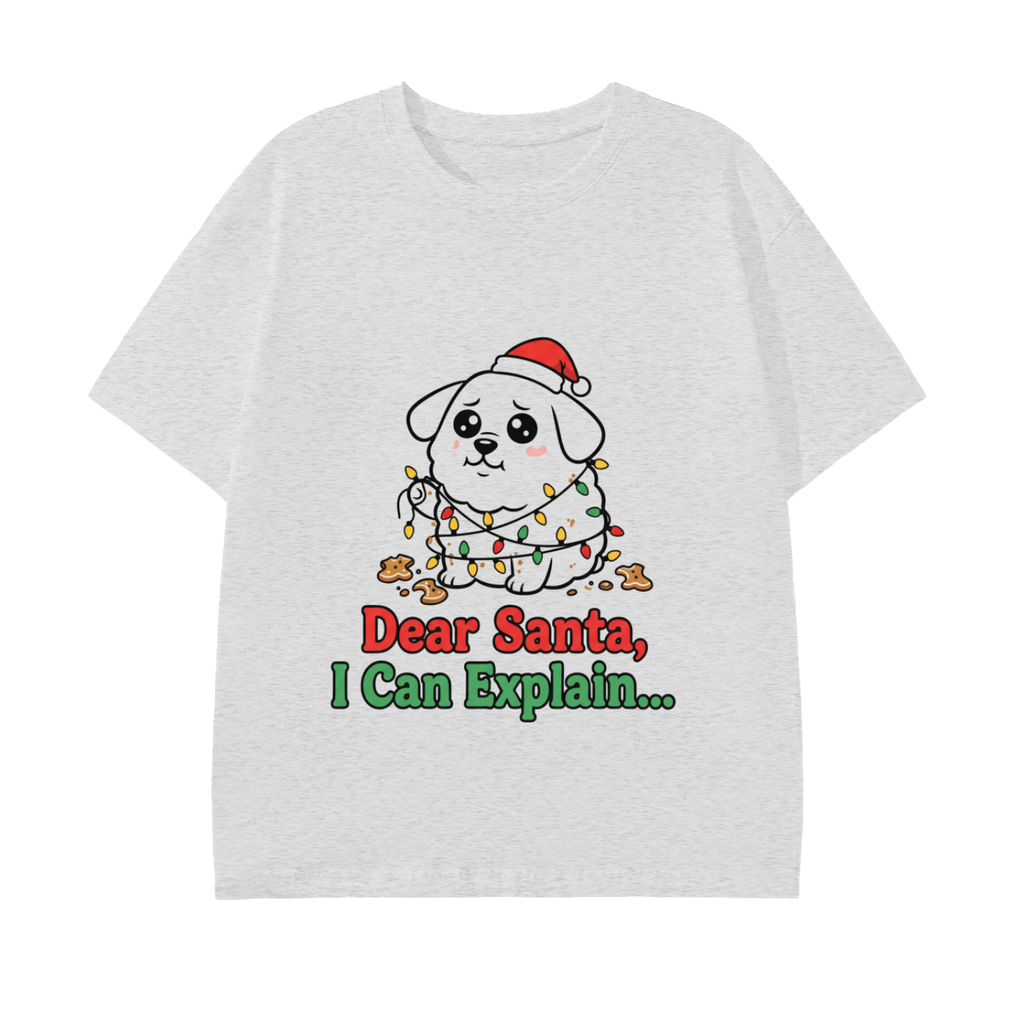 “Dear Santa I Can Explain” Adult Tee